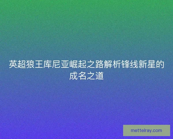 英超狼王库尼亚崛起之路解析锋线新星的成名之道 英超狼王库尼亚崛起之路解析锋线新星的成名之道