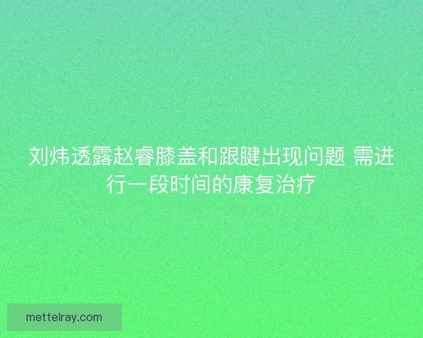 刘炜透露赵睿膝盖和跟腱出现问题 需进行一段时间的康复治疗